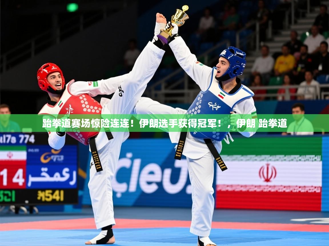 跆拳道赛场惊险连连!伊朗选手获得冠军!,伊朗 跆拳道 跆拳道赛场惊险连连!伊朗选手获得冠军!,伊朗 跆拳道