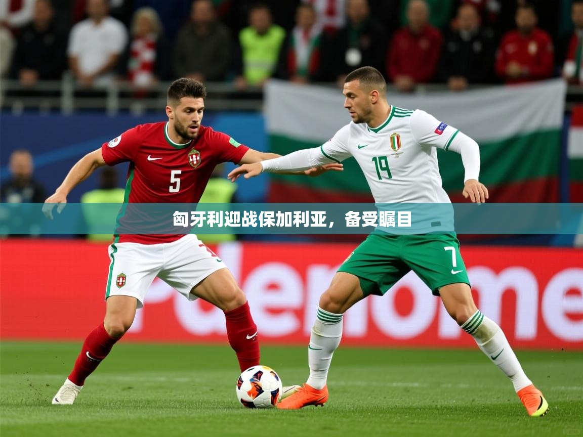 匈牙利迎战保加利亚，备受瞩目