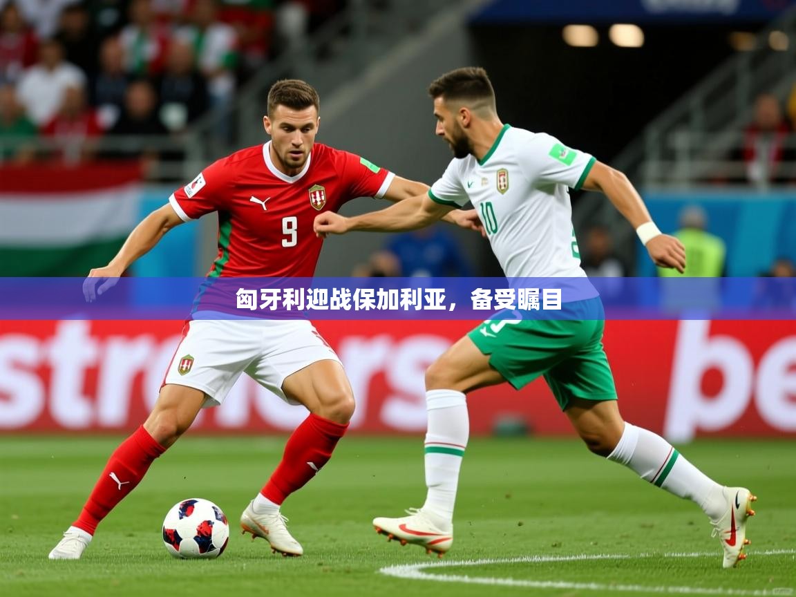 匈牙利迎战保加利亚，备受瞩目