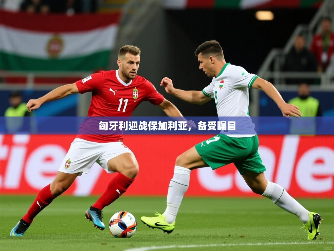 匈牙利迎战保加利亚，备受瞩目