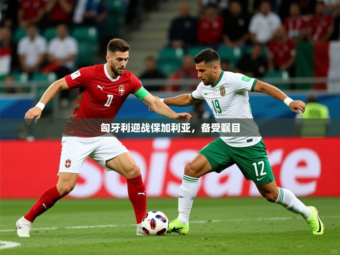 匈牙利迎战保加利亚，备受瞩目