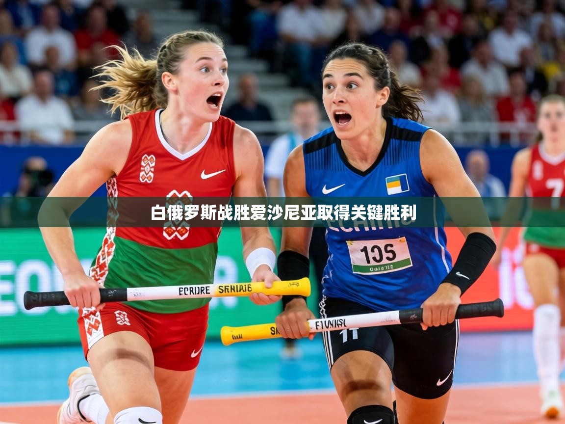 白俄罗斯战胜爱沙尼亚取得关键胜利