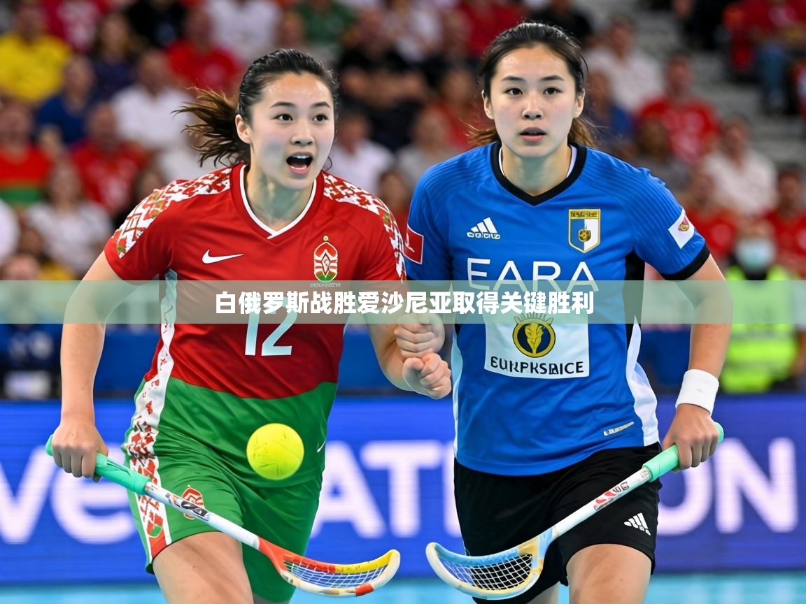 白俄罗斯战胜爱沙尼亚取得关键胜利