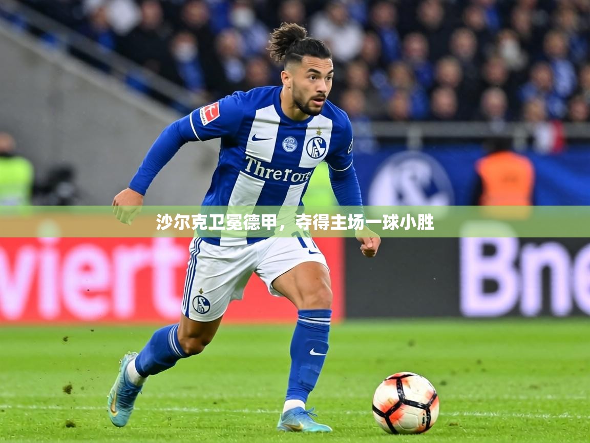 沙尔克卫冕德甲，夺得主场一球小胜