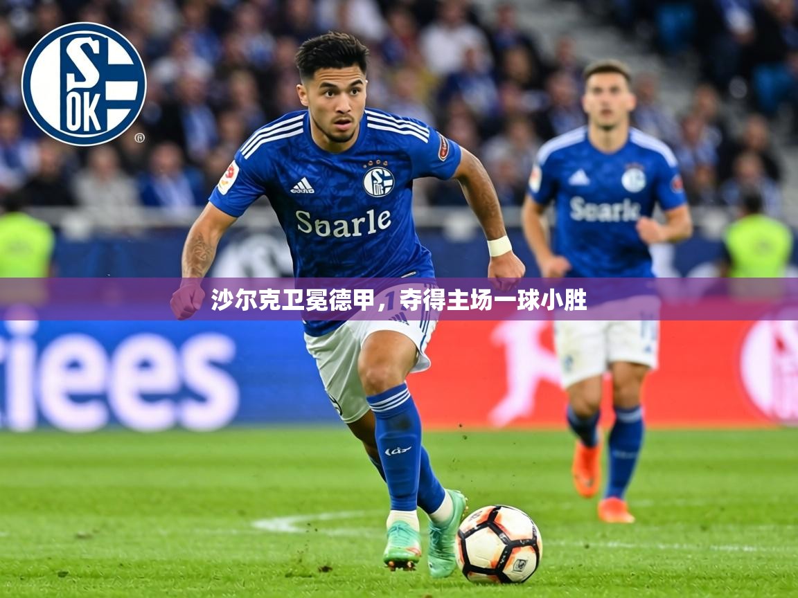 沙尔克卫冕德甲，夺得主场一球小胜