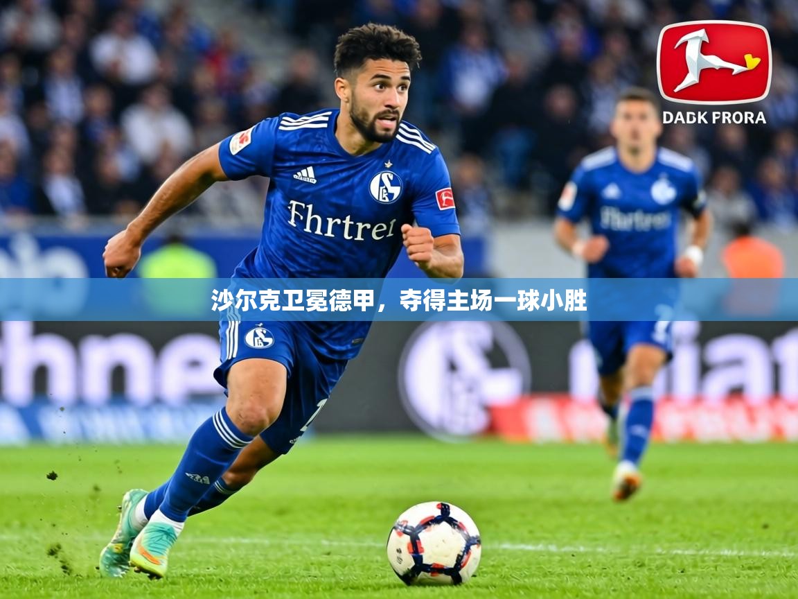 沙尔克卫冕德甲，夺得主场一球小胜